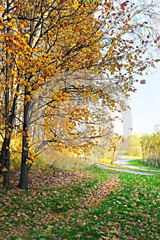 Autumn. Tsaritsyno Park in Moscow