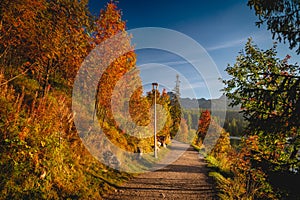 Autumn turistic trail in mountains