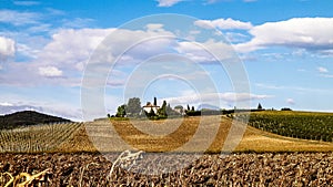 Autumn in Tuscany - Field of dried sunflowers