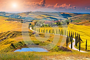 Autumn Tuscany landscape with curved road and cypress, Italy, Europe