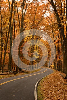 Autumn on two-lane road