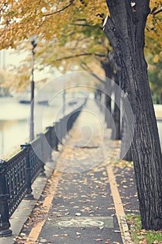 Autumn urban path