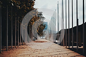 Autumn urban street with plenty of empty flagstaffs