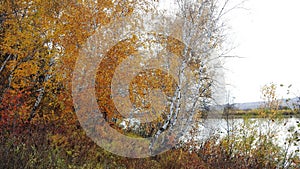 Autumn in the valley of the Ingoda river. Ingoda is the left component of the Shilka river. photo