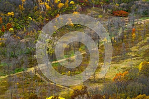 Autumn valley, river bluffs state park