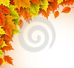 Autumn vector background template. Fall season maple leaves elements