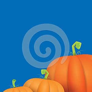 Autumn vector orange pumpkins border design template for banners and thanksgiving day backgrounds.