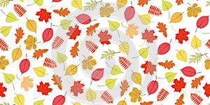 Autumn vector seamless background