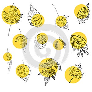 Autumn vector set with leaves handdrawn doodles