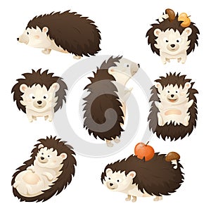Autumn vector set of seven cute cartoon hedgehogs in different poses. A cheerful forest animal character carries apple and