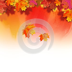 Autumn Vector Watercolor Fall Leaves