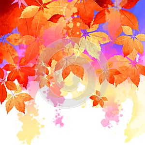 Autumn Vector Watercolor Fall Leaves