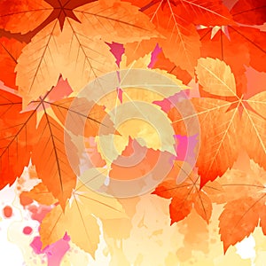 Autumn Vector Watercolor Fall Leaves