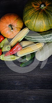 Autumn vegetable background with dark wooden table. Harvest Thanksgiving day. Greeting card, poster, banner concept with