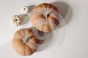 Autumn vegetable composition. Fresh food still life made of small white and orange pumpkins iolated on beige table