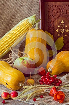 Autumn vegetables, berries and fruits. Seasonal autumn food - pu