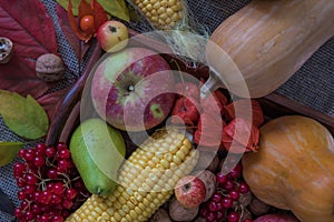 Autumn vegetables, berries and fruits. Seasonal autumn food - pu