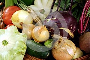 Autumn vegetables composition
