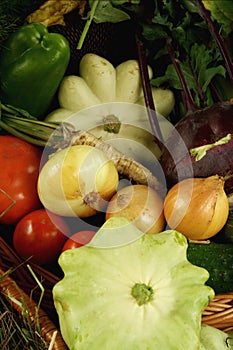 Autumn vegetables composition