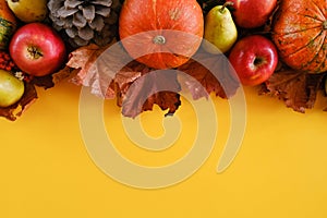 Autumn vegetables and fruits on yellow background. Autumn food, thanksgiving day concept.