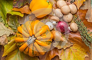 Autumn vegetables on leaves