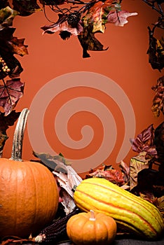 Autumn Vegetables, pumpkins and leaves on a wooden background with orange background