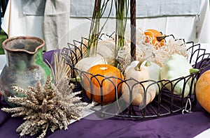 Autumn vegetables still-life