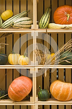 Autumn vegetables in wooden box