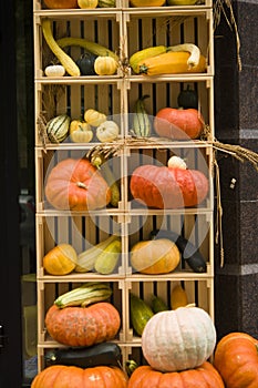 Autumn vegetables in wooden box