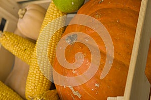 Autumn vegetables in wooden box