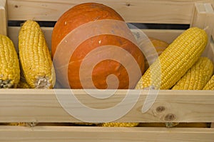 Autumn vegetables in wooden box