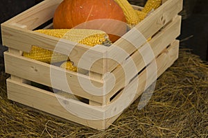 Autumn vegetables in wooden box