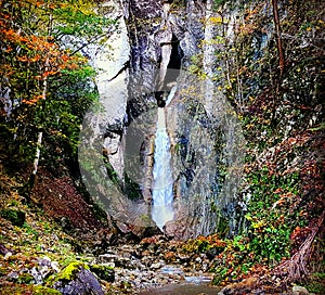 Autumn vegetation around a waterfall in Switzerland.