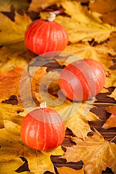 Autumn vertical banner with yellow leaves, orange pumpkins on a wooden textured backdrop. Fall background.