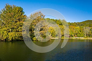 An Autumn View of Abbott Lake