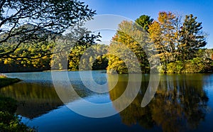 An Autumn View of Abbott Lake