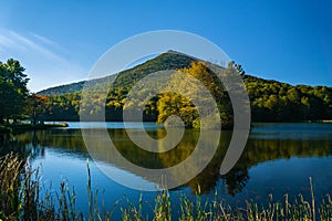 An Autumn View of Abbott Lake