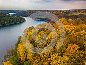 Autumn view with Asveja lake and colorful mapple trees