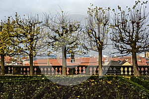 Autumn view of Baroque Rosengarten Rose Garden of New Residence in Bamberg, Bavaria, Franconia, Germany. November 2014