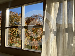 autumn view in BirÅ¡tonas