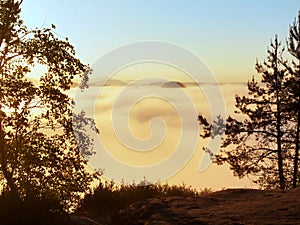 Autumn view through branches to misty valley within daybreak. Foggy and misty morning on the sandstone view point in national park