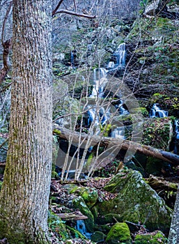 An Autumn View of Cascading Waterfall