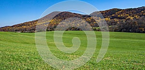 Autumn View of Catawba Mountain