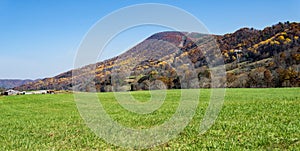 Autumn View of Catawba Mountain - 3