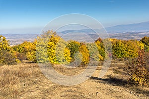 Autumn view of Cherna Gora mountain,  Bulgaria photo