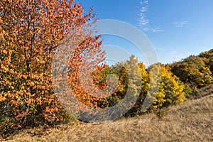 Autumn view of Cherna Gora mountain, Bulgaria