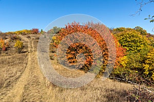 Autumn view of Cherna Gora mountain, Bulgaria