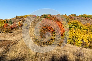 Autumn view of Cherna Gora mountain, Bulgaria