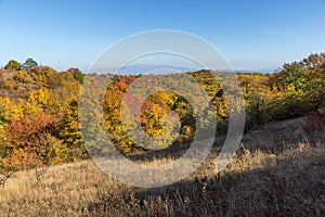 Autumn view of Cherna Gora mountain, Bulgaria