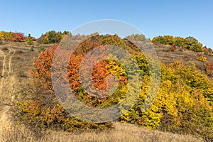 Autumn view of Cherna Gora mountain, Bulgaria